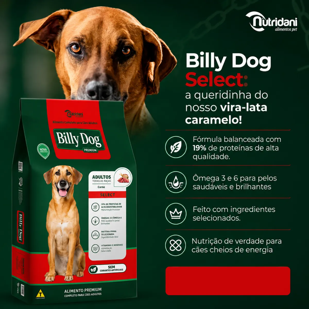 Foto do produto BILLY DOG SELECT 15KG disponível na Agropecuária Nossos Bichos em Volta Redonda, RJ